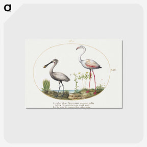 1-68_Joris-Hoefnagel_postcard