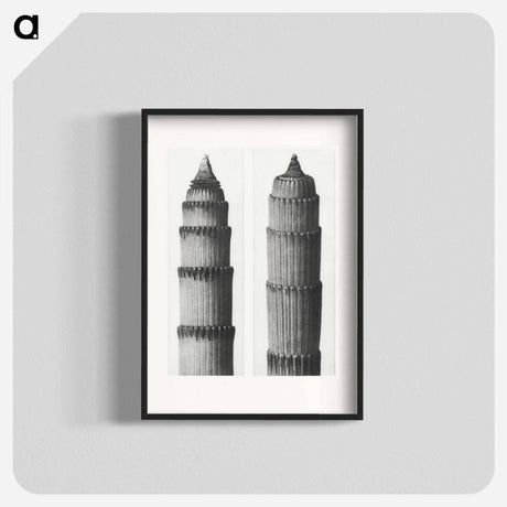 アートポスター-Equisetum Hiemale - カール ブロスフェルト Poster.