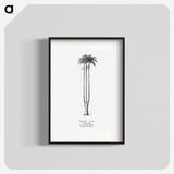 1-68_Les-Palmiers-Histoire-Iconographique_blk