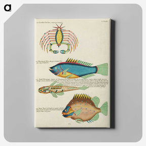 1-68_Louis-Renard_canvas