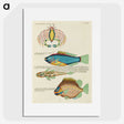 1-68_Louis-Renard_picture