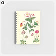 アートメモ帳-Mirabilis jalapa and Bellis perennis
 - マリア ジビーラ メーリアン Memo.