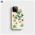 1-68_Maria-Sibylla-Merian_phone