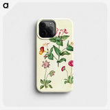 1-68_Maria-Sibylla-Merian_phone