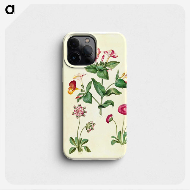 1-68_Maria-Sibylla-Merian_phone