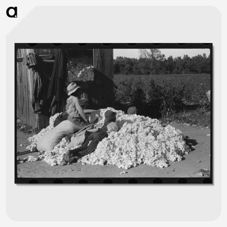1-68_Marion-Post-Wolcott_picture-crop