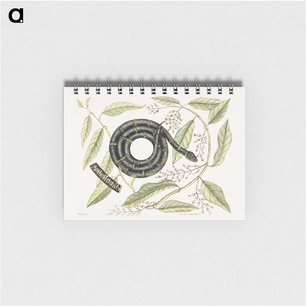 1-68_Mark-Catesby_memo