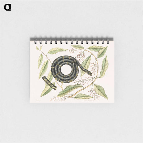 アートメモ帳-Eastern King Snake
 - マーク ケイツビー Memo.