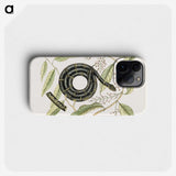 1-68_Mark-Catesby_phone