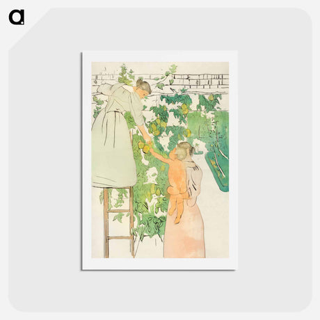 アートポストカード-Gathering Fruit - メアリー カサット Postcard.