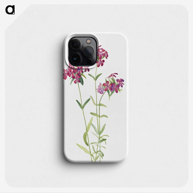 1-68_Mary-Vaux-Walcott_phone