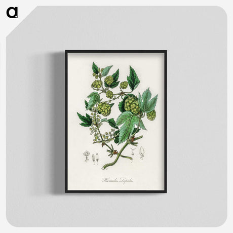 1-68_Medical-Botany_blk-crop