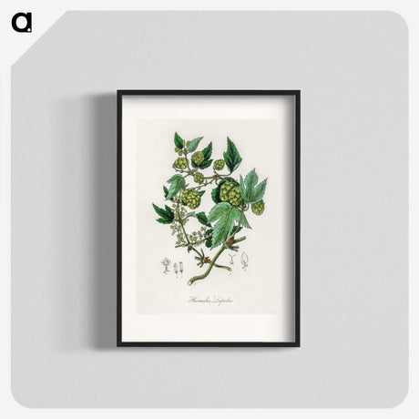 1-68_Medical-Botany_blk