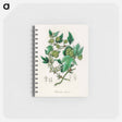 アートメモ帳-Hop Illustration
 - 薬用植物学 Memo.