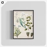 1-68_Native-Flowering-Plants-of-New-Zealand_blk-crop