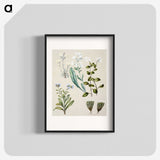 1-68_Native-Flowering-Plants-of-New-Zealand_blk