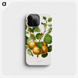 1-68_Nederlandsche-Flora-en-Pomona_phone