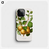 1-68_Nederlandsche-Flora-en-Pomona_phone