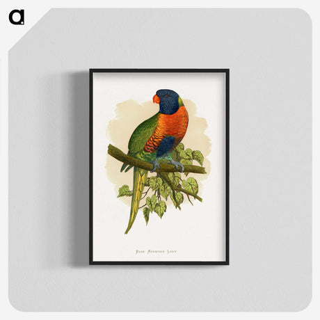 1-68_Parrots-in-Captivity_blk-crop