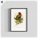 1-68_Parrots-in-Captivity_blk