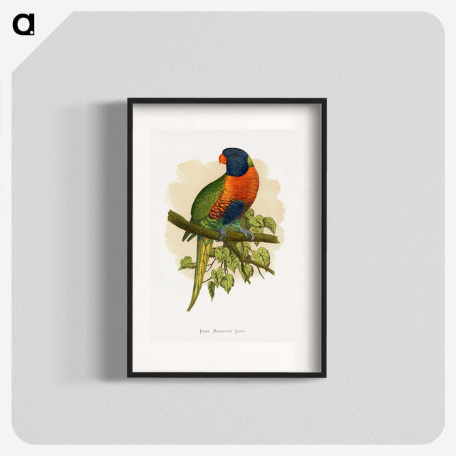1-68_Parrots-in-Captivity_blk
