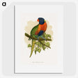 1-68_Parrots-in-Captivity_picture