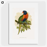 1-68_Parrots-in-Captivity_picture