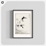 アートポスター-Tufted-Teal and Reed Flower
 - 鳥類図鑑 Poster.