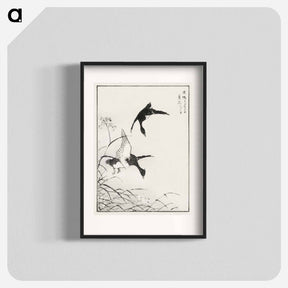 アートポスター-Tufted-Teal and Reed Flower
 - 鳥類図鑑 Poster.