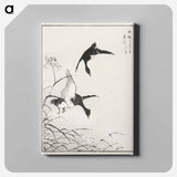 アートパネル-Tufted-Teal and Reed Flower
 - 鳥類図鑑 Canvas.