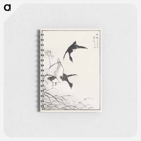 アートメモ帳-Tufted-Teal and Reed Flower
 - 鳥類図鑑 Memo.
