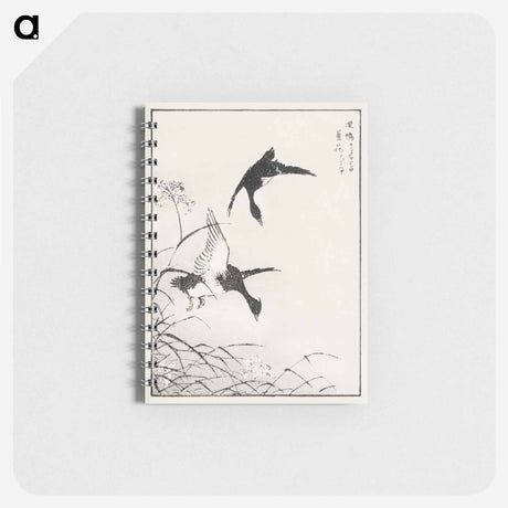 アートメモ帳-Tufted-Teal and Reed Flower
 - 鳥類図鑑 Memo.