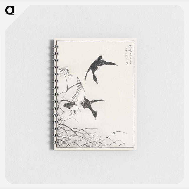 アートメモ帳-Tufted-Teal and Reed Flower
 - 鳥類図鑑 Memo.