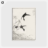 アートポストカード-Tufted-Teal and Reed Flower
 - 鳥類図鑑 Postcard.