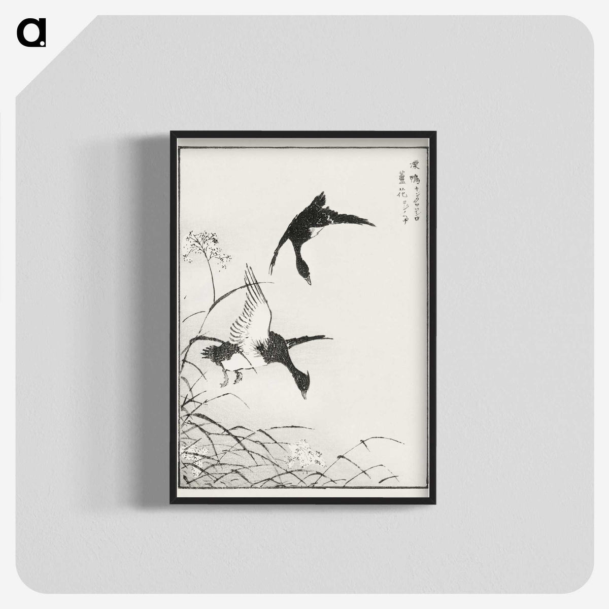 1-68_Pictorial-Monograph-of-Birds_blk-crop