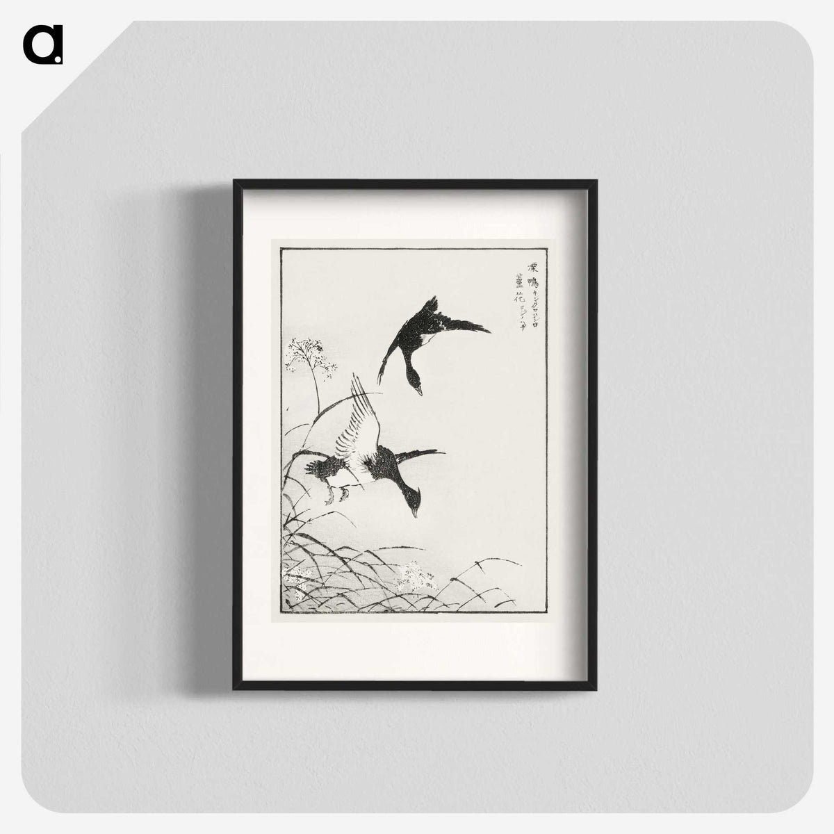1-68_Pictorial-Monograph-of-Birds_blk
