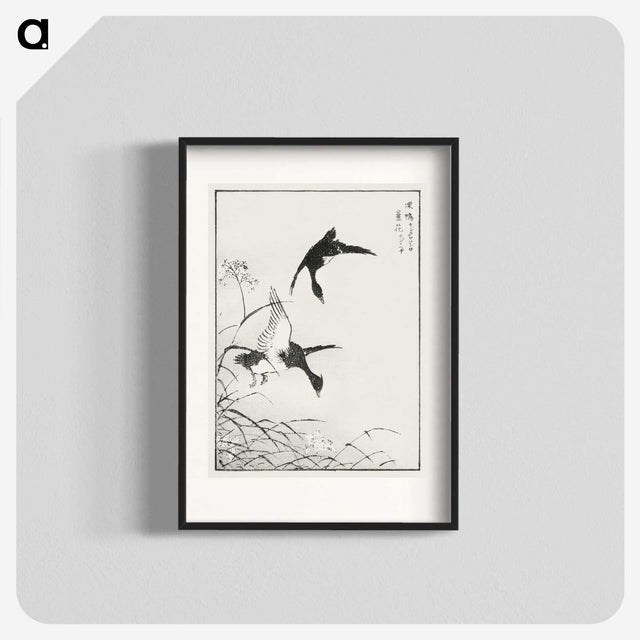 1-68_Pictorial-Monograph-of-Birds_blk