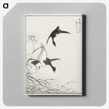 1-68_Pictorial-Monograph-of-Birds_canvas