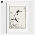 1-68_Pictorial-Monograph-of-Birds_picture