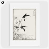 1-68_Pictorial-Monograph-of-Birds_picture