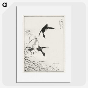 1-68_Pictorial-Monograph-of-Birds_picture