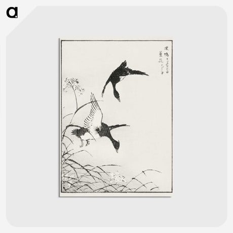 1-68_Pictorial-Monograph-of-Birds_postcard