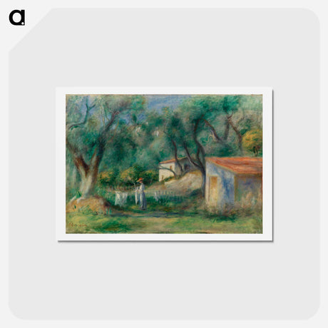 アートポストカード-Le Cannet - ピエール オーギュスト ルノワール Postcard.