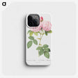 1-68_Pierre-Joseph-Redoute_phone