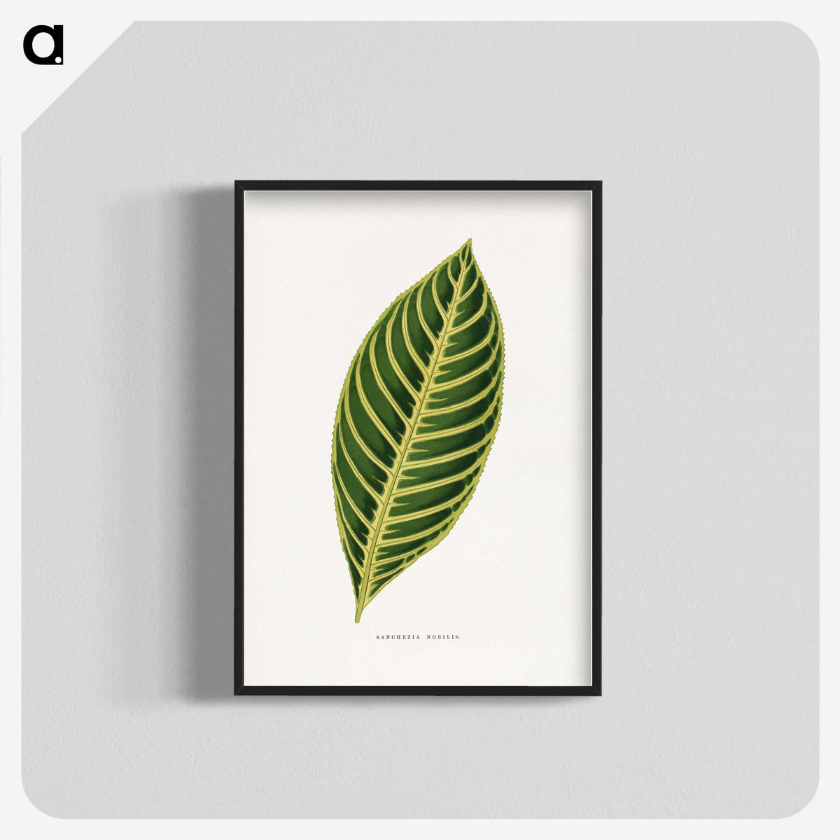 1-68_Plants-with-Colored-Foliage_blk-crop