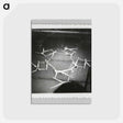 アートポストカード-Synchronized Swimmers
 - セントルイス美術館 Postcard.