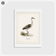 アートポストカード-Gray Heron
 - スヴェンスカ フォグラル Postcard.