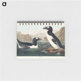 アートメモ帳-Great Auk from Birds of America
 - アメリカの鳥たち Memo.