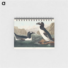 アートメモ帳-Great Auk from Birds of America
 - アメリカの鳥たち Memo.