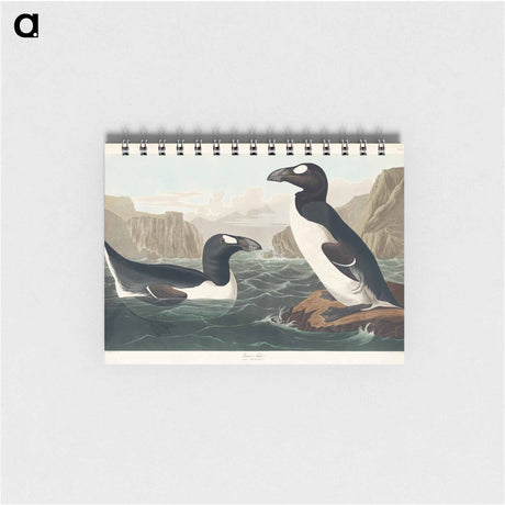アートメモ帳-Great Auk from Birds of America
 - アメリカの鳥たち Memo.